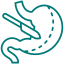Bariatric surgery and stomach health icon for weight loss treatment in Gurugram
